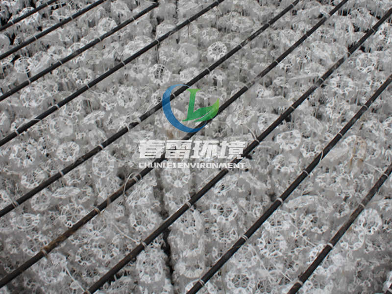 香蕉国产2023滲濾液處理工程項目提標改造 香蕉国产2023滲濾液提標改造更新升級