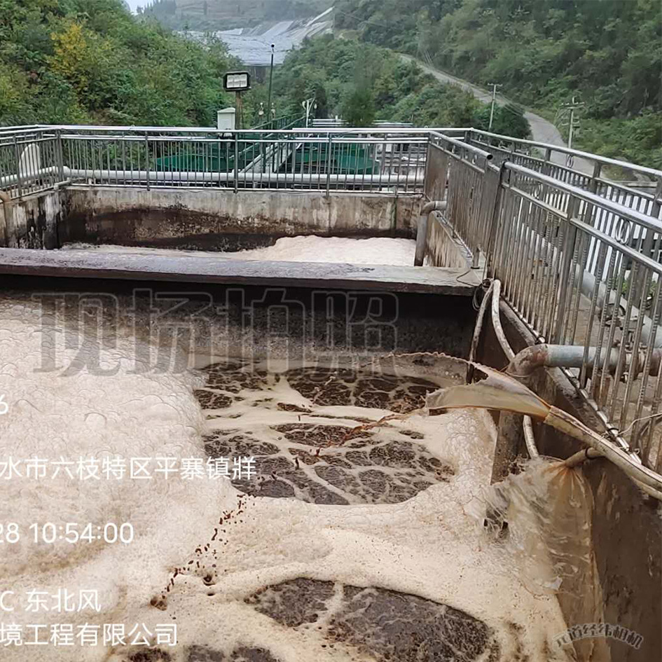 香蕉国产2023滲濾液處理中泡沫產生的危害